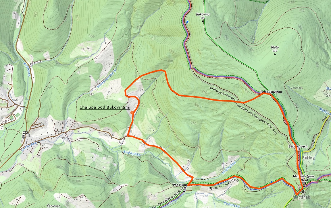 Mapa trasy-Martinak